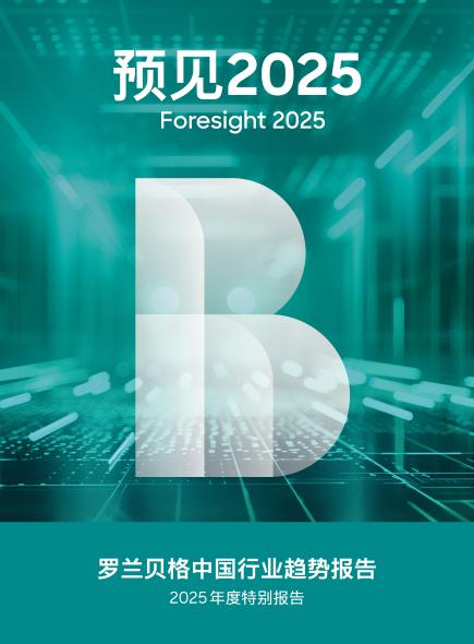 罗兰贝格中国行业趋势报告——2025年度特别报告